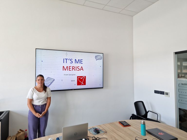 SUMMER INTERNSHIP: MERISA HANJALIĆ